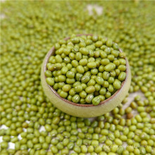 Green Mung Bean 2015Crop Supply Diferentes tipos